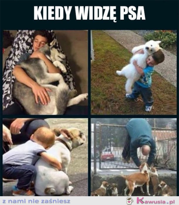 Zawsze kiedy widzę jakieś zwierzątko