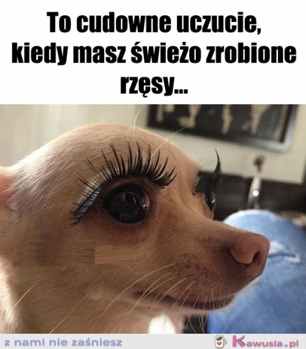 Teraz uważajcie na przeciągi...