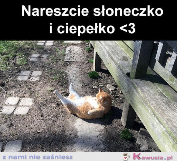 Ciepełko
