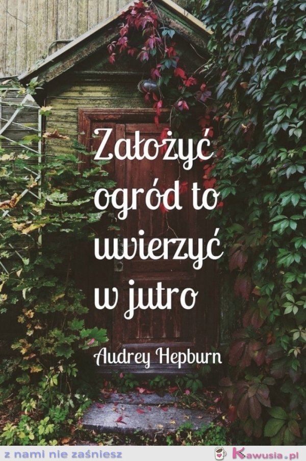 Założyć ogród to uwierzyć w jutro