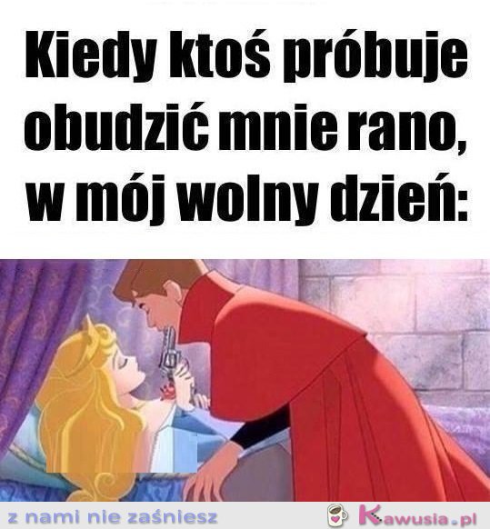 Tylko spr&oacute;buj..