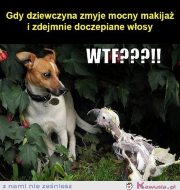 Kto to jest i co tu robi