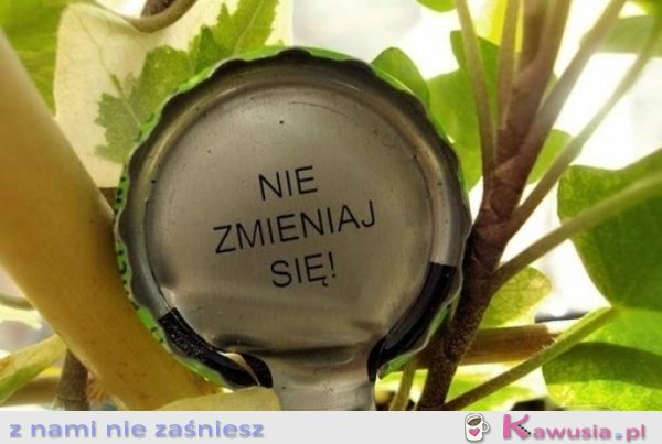 Nie zmieniaj się