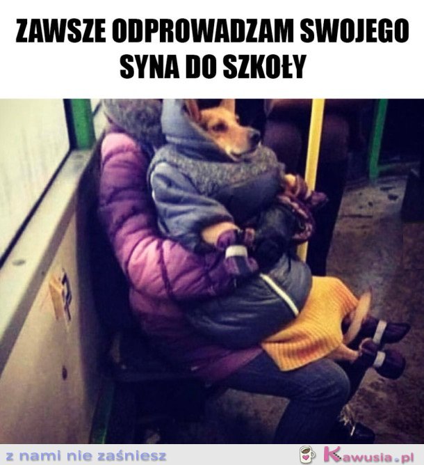 ODPROWADZAM SYNKA DO SZKOŁY