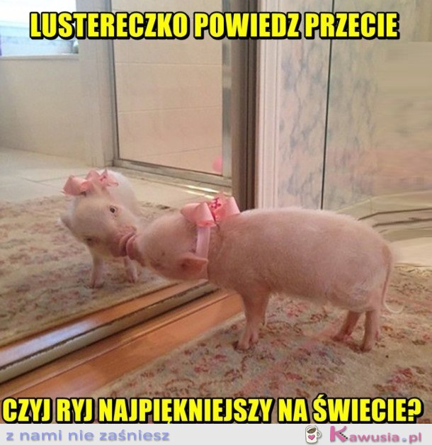 LUSTERECZKO POWIEDZ PRZECIE