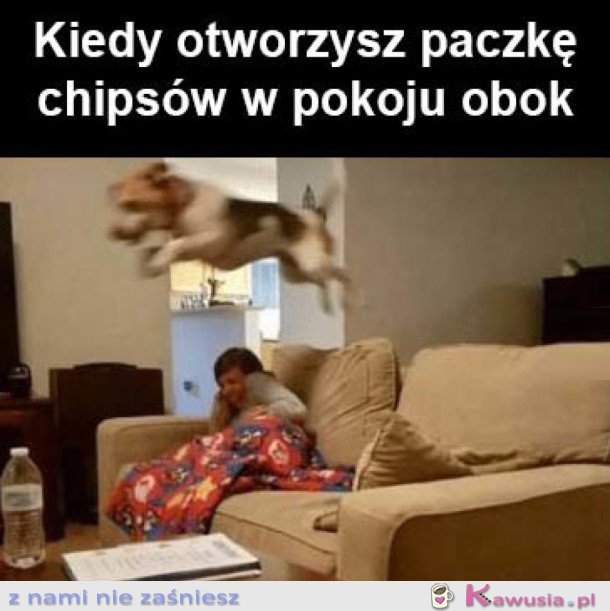 CZY KTOŚ POWIEDZIAŁ CHIPSY