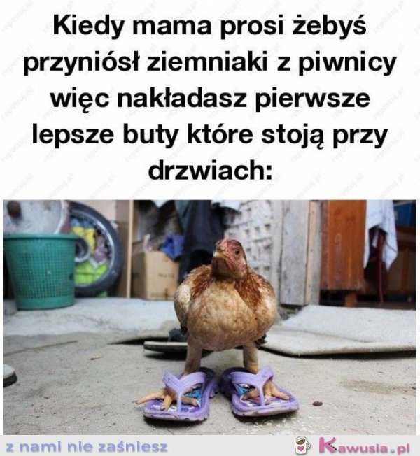 Idz po ziemnioki