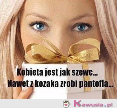 Kobieta jest jak szewc