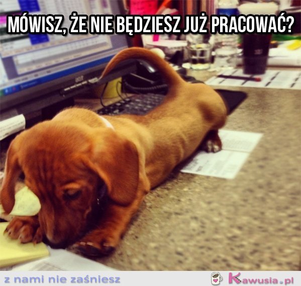 Mówisz, że nie będziesz