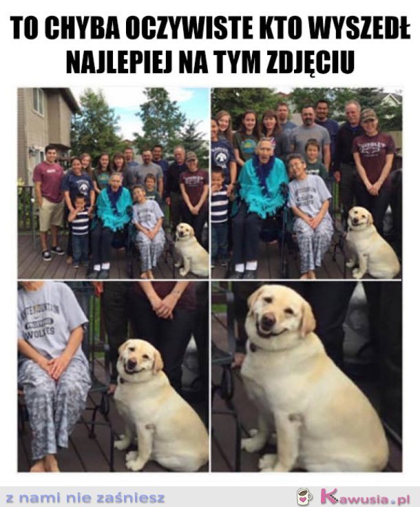 JEDYNY FOTOGENICZNY CZŁONEK RODZINY