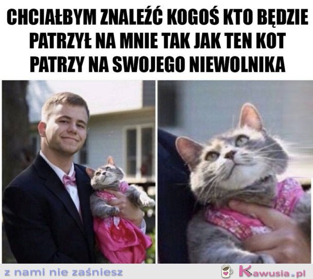 MARZĘ O TYM