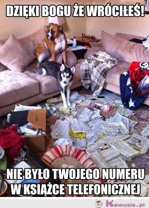 Przeszukaliśmy caluśką...