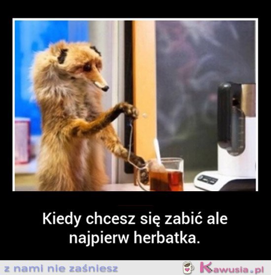 Jeszcze tylko herbatka