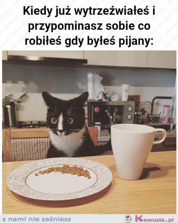 Kiedy już wytrzeźwiałeś