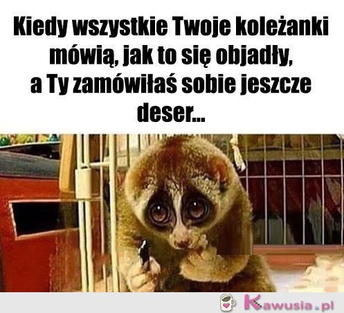 Cóż ja poradzę...