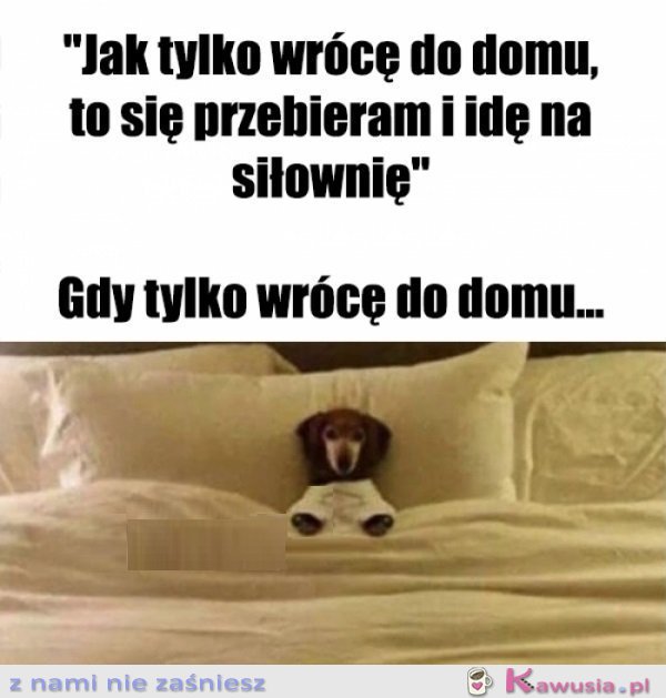 Chęci były i to się liczy...