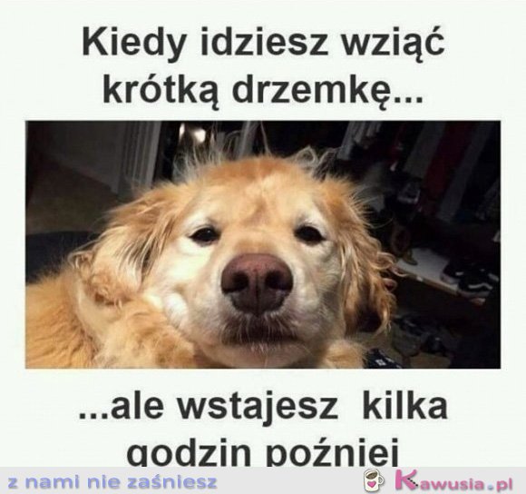 Moje drzemki takie są