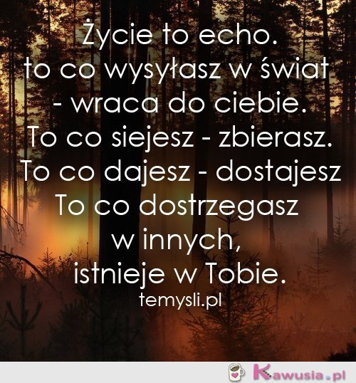 Życie to echo..