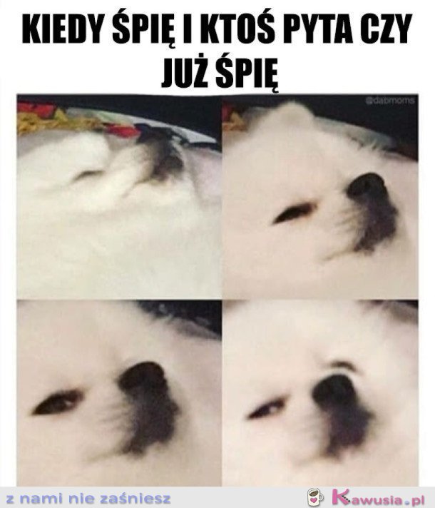 Spałam..