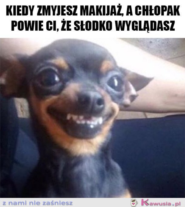 OJEJ JAK SŁODKO