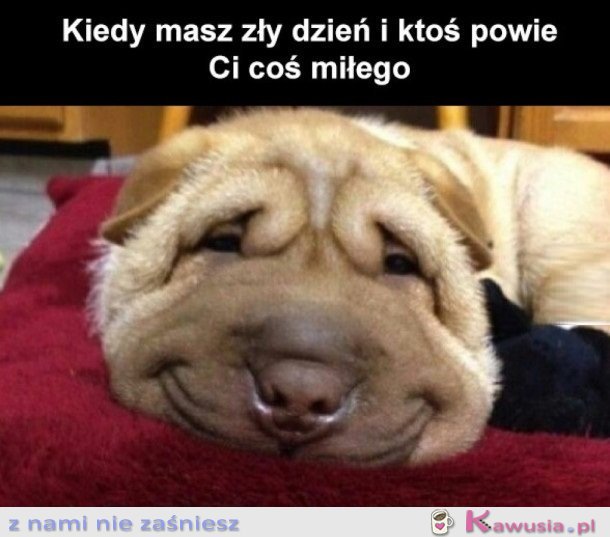 NA POPRAWIENIE HUMORU
