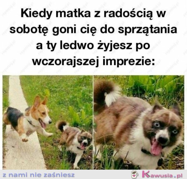 TO UCZUCIE