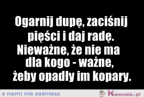 Dasz radę
