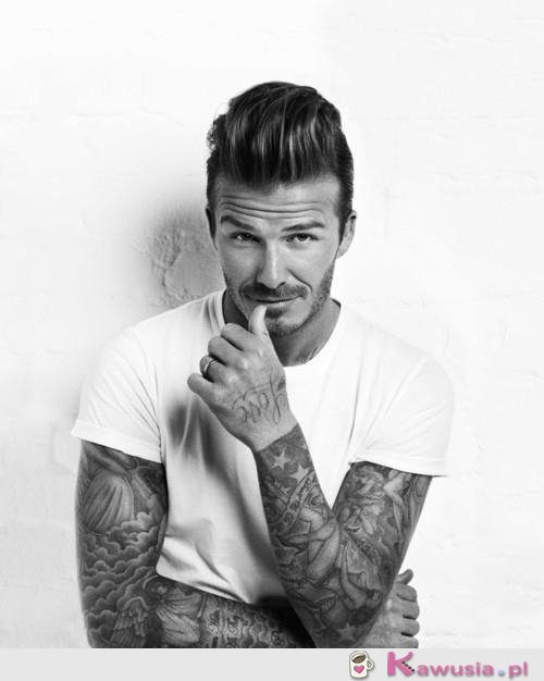 David