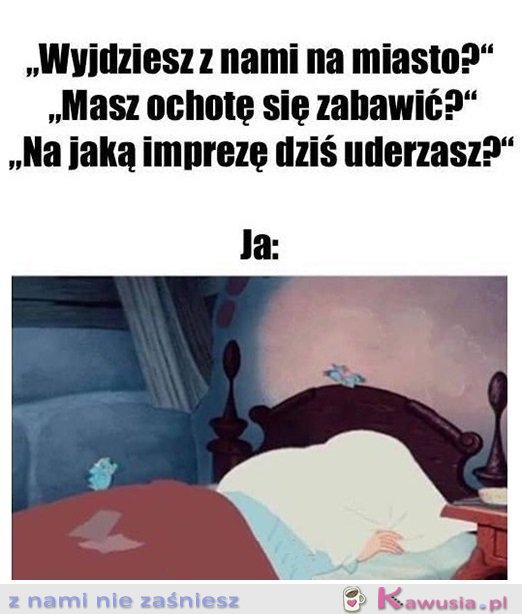 Plany mam... 