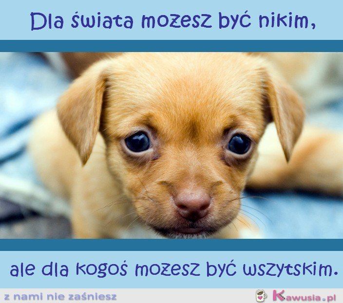 Pamiętaj, że...