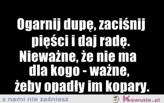 Dasz radę