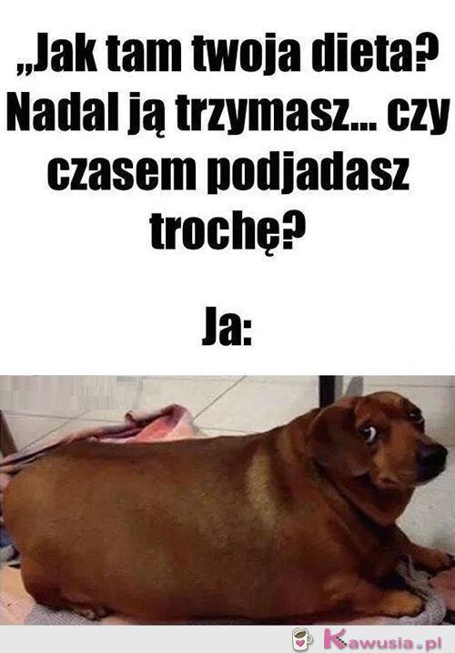 Żartujesz