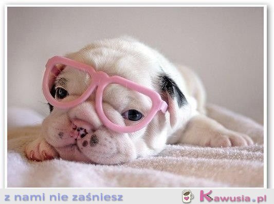 Dzień dobry :)