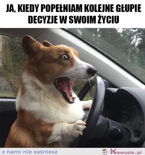 KOLEJNE GŁUPIE DECYZJE