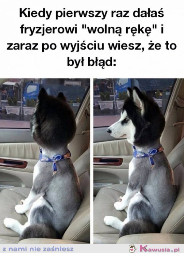 Dałam fryzjerowi " wolną rękę"