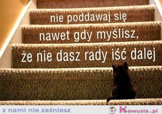 Nie poddawaj się!