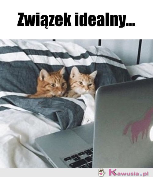 Czego chcieć więcej...