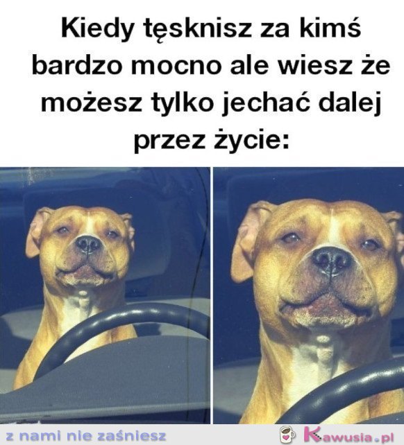 NAJSMUTNIEJ