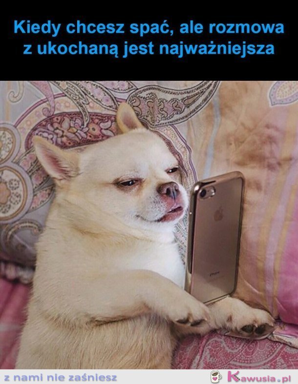 NIE MA ŻE BOLI