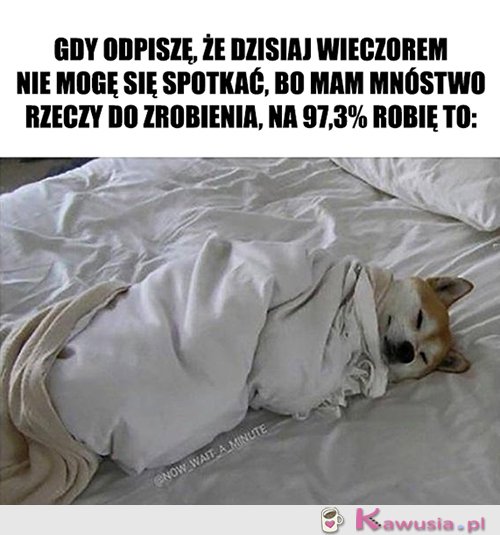 Nie wiem w co ręce włożyć...