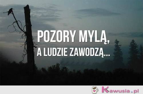 Pozory mylą a ludzie zawodzą