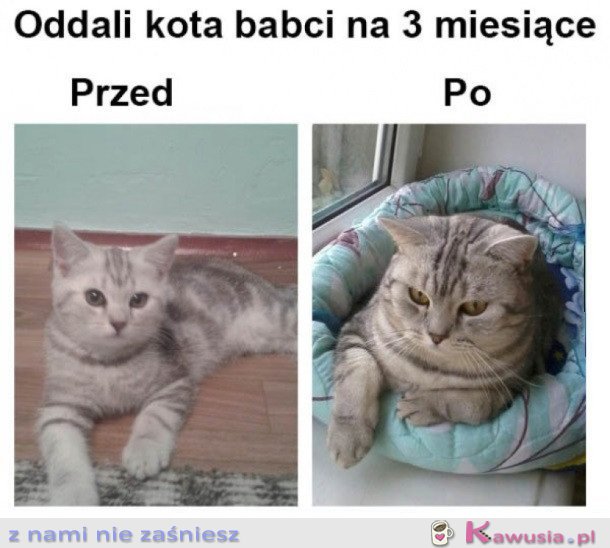 TAK JEST U BABCI