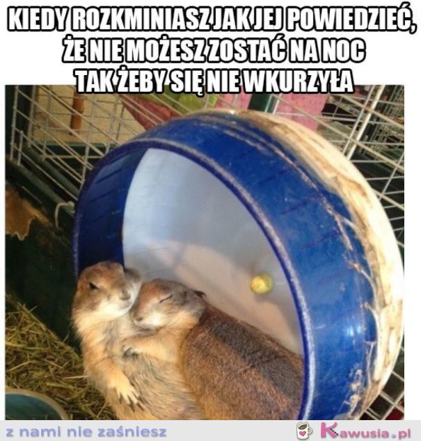 Jak to delikatnie rozegrać?