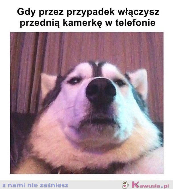 KIEDY PRZEZ PRZYPADEK...