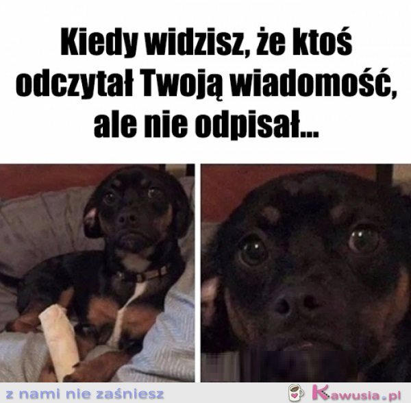 Jeszcze zobaczymy...