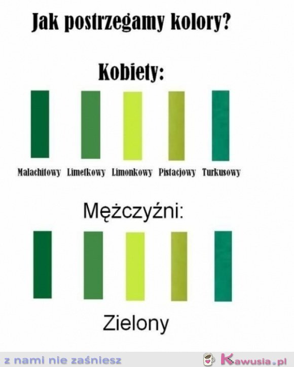 Kolory