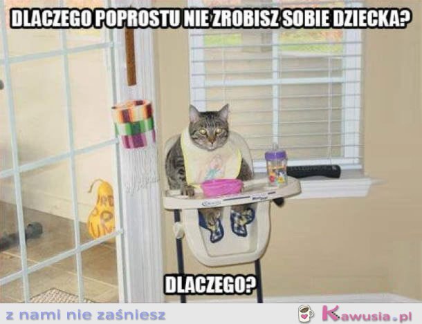 NO DLACZEGO?