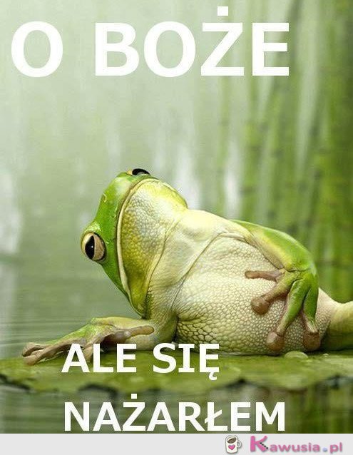 Ale się nażarłam