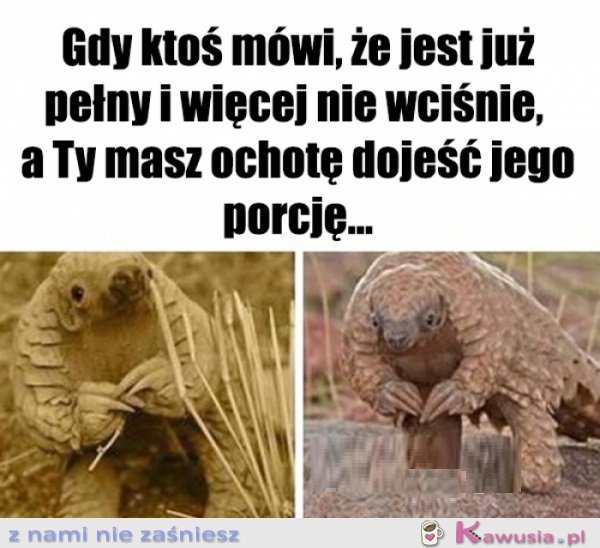 Co ma się zmarnować...