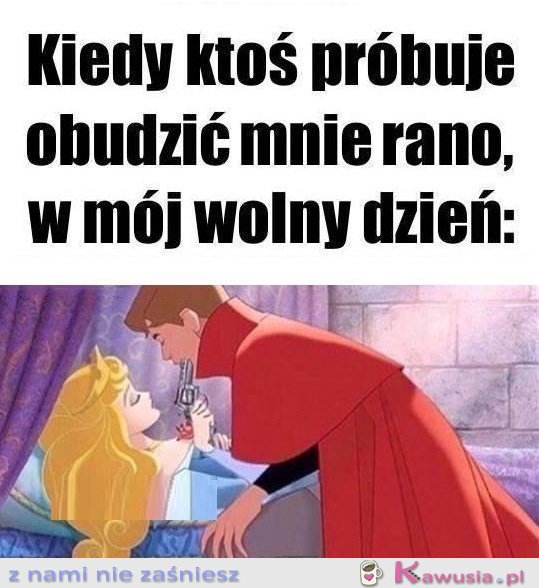 Tylko spróbuj..